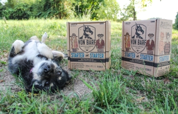 What are the other benefits of switching to barf raw dog food?