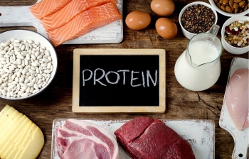 What You Need to Know About Protein in Dog Food?