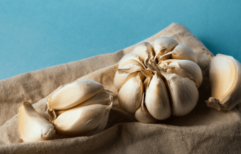 Garlic as a Supplement To Dog Food