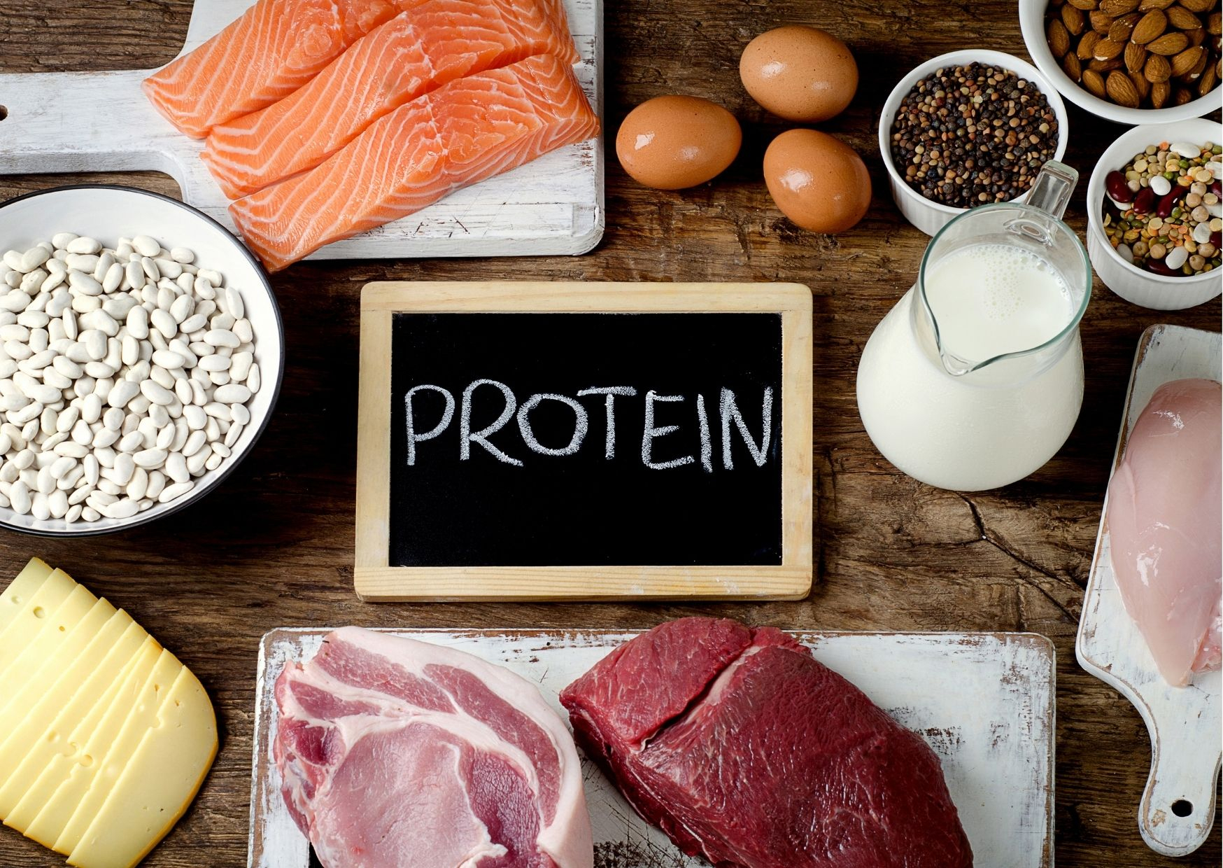 What You Need to Know About Protein in Dog Food?
