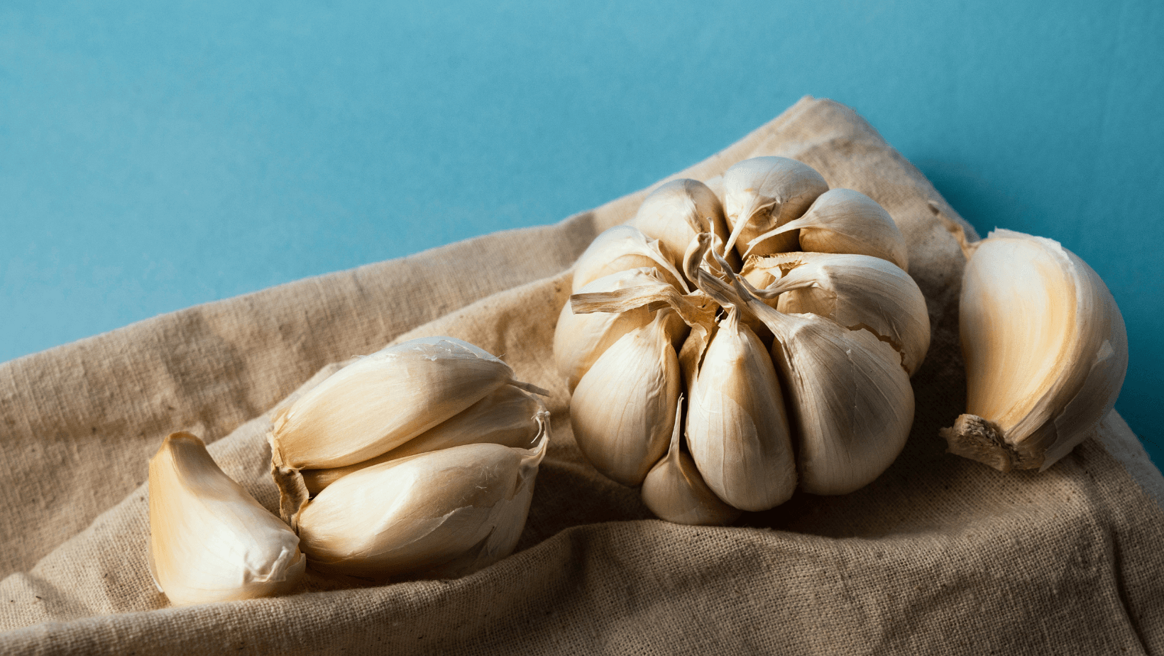 Garlic as a Supplement To Dog Food